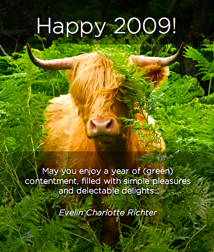 happy_2009_from_ev